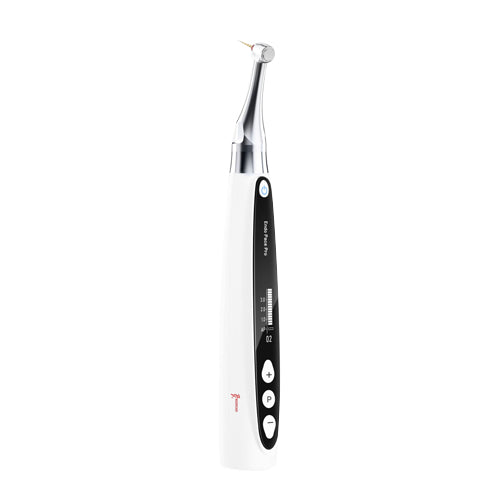 Woodpecker Endopace Pro