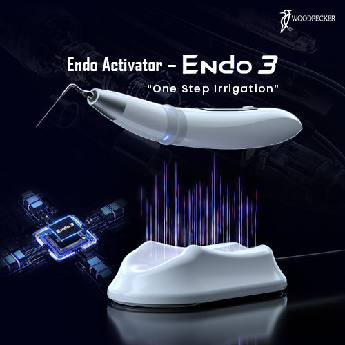 Woodpecker Endo3