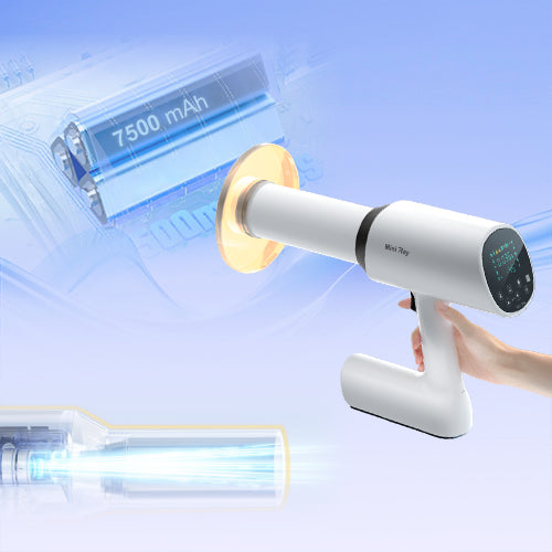 Mini Ray X-Ray