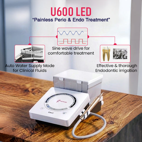 Woodpecker Ultrasonic Scaler U-600 LED